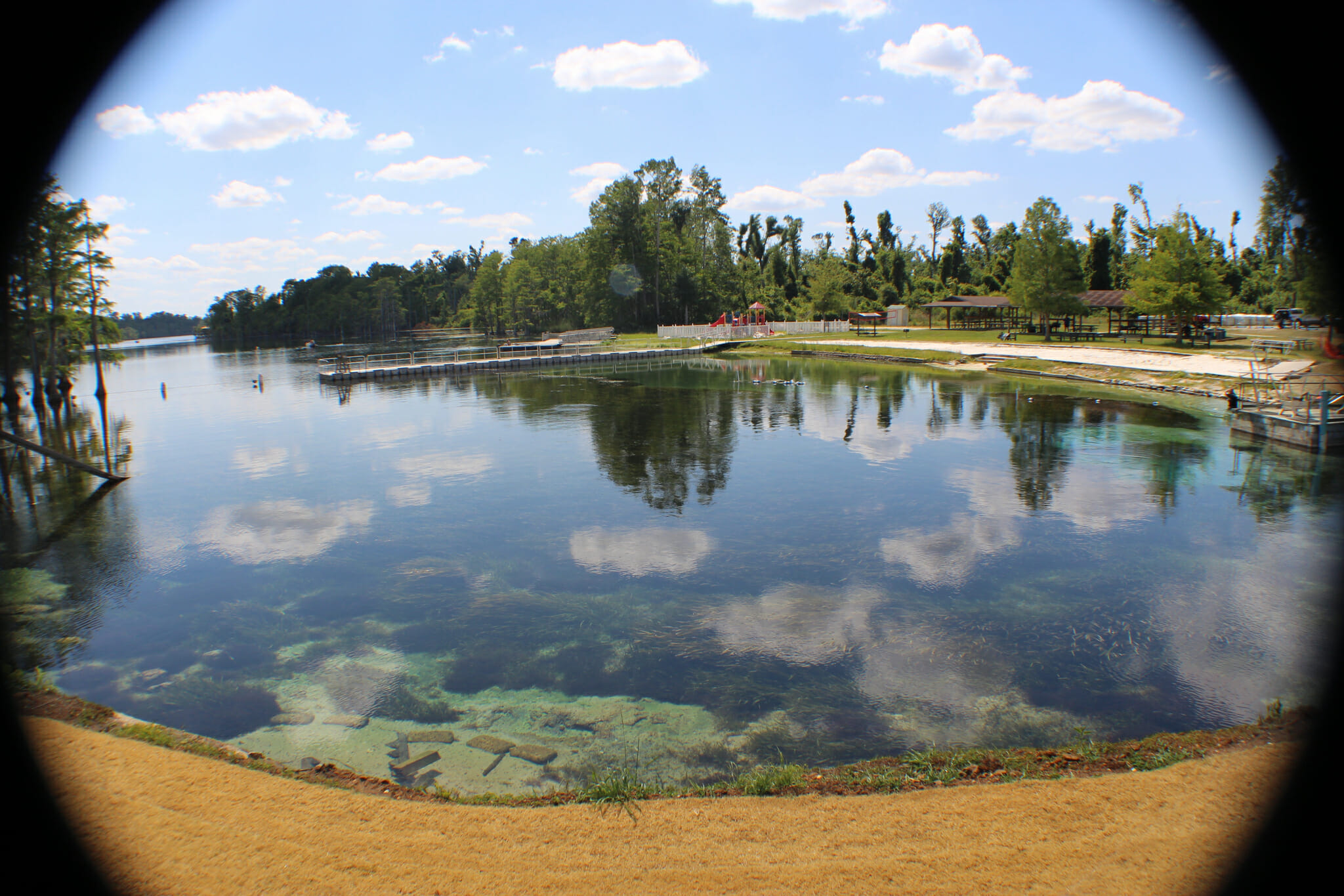 Blue Springs Recreation Area Jackson County Florida