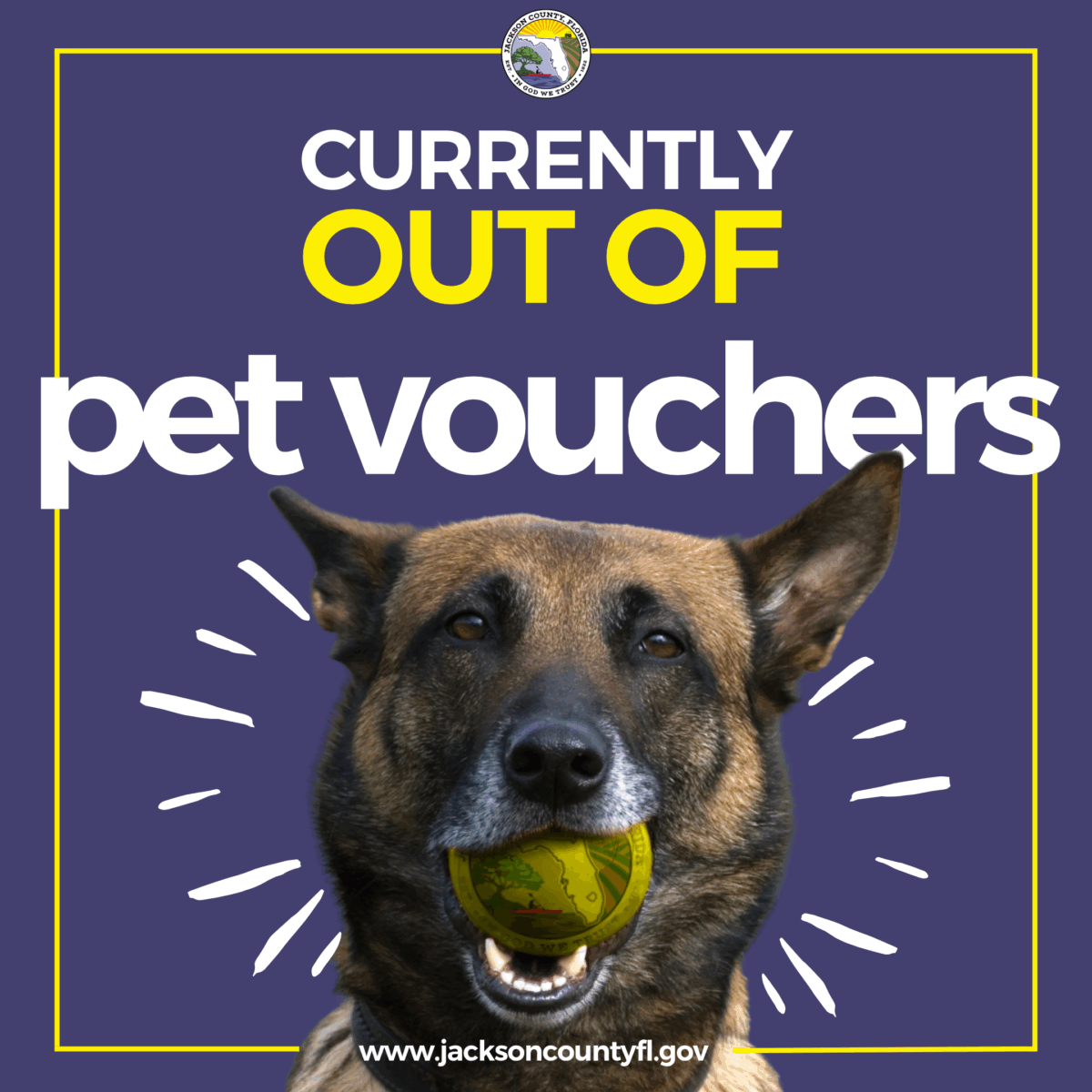 currently out of vouchers. More will become available October 1, 2025. 